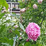 Bed & Breakfast Les Iris D'hote