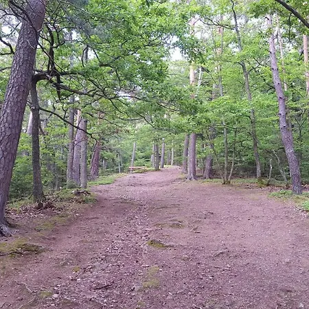 Les Iris D'hote Niedermorschwihr