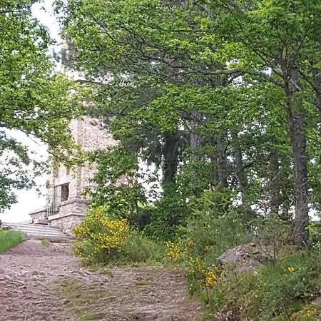Les Iris D'hote Niedermorschwihr