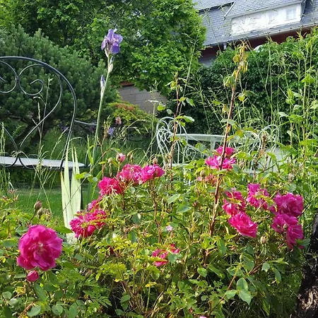 Les Iris D'hote 3* Niedermorschwihr