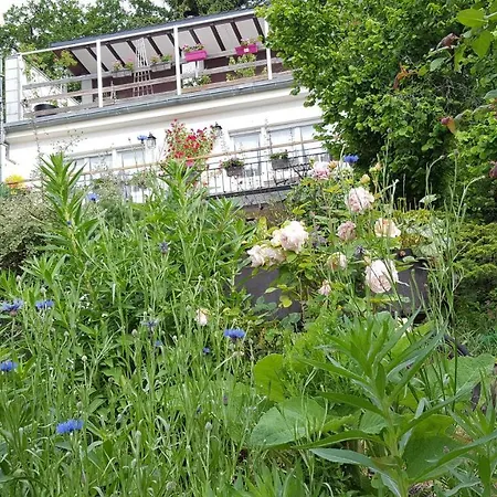 Nocleg ze śniadaniem Les Iris D'hote 3*