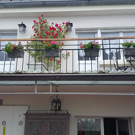 Les Iris D'hote