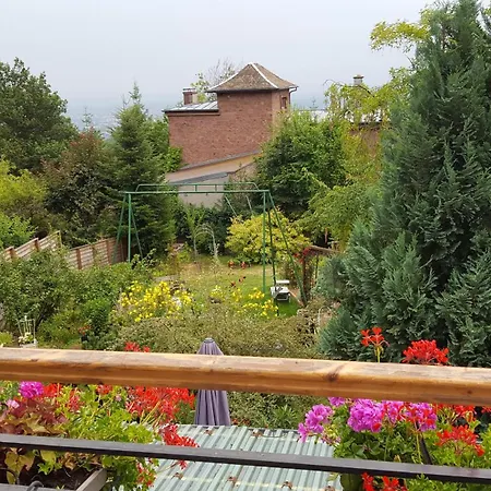 Les Iris D'hote Bed & Breakfast Niedermorschwihr