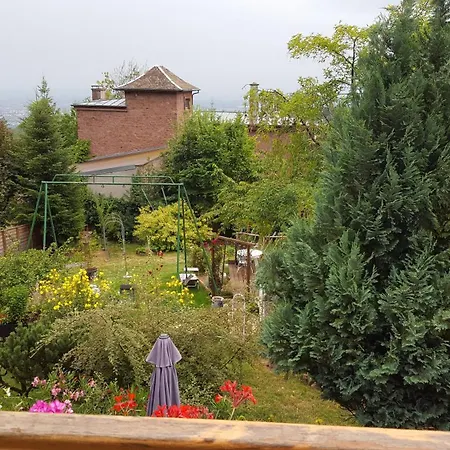 Les Iris D'hote Niedermorschwihr