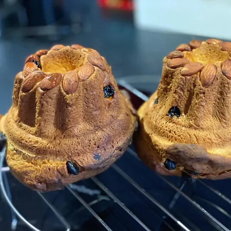 Les Iris D'hote Niedermorschwihr