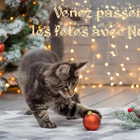 Les Iris D'hote Frühstückspension