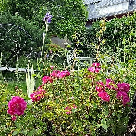 Les Iris D'hote Bed & Breakfast