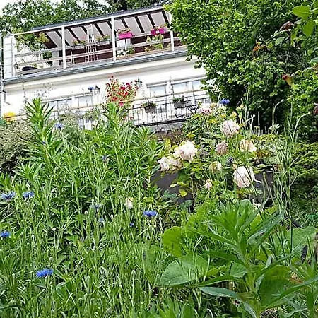 Les Iris D'hote ベッド・アンド・ブレックファスト Niedermorschwihr