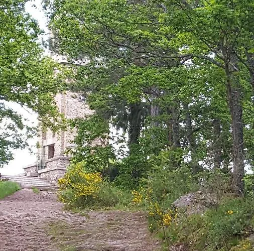 Les Iris D'hote Niedermorschwihr