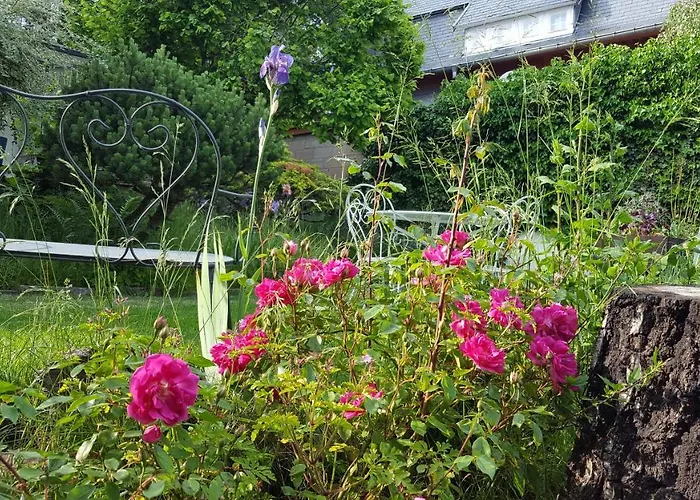 Les Iris D'hote 3* Niedermorschwihr