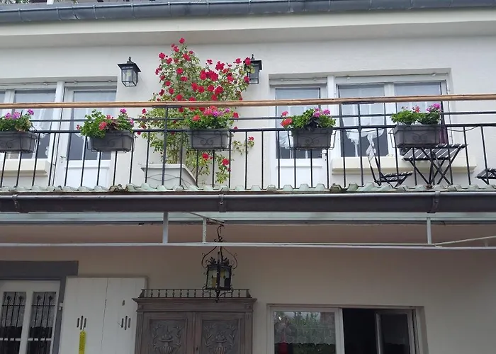 Les Iris D'hote